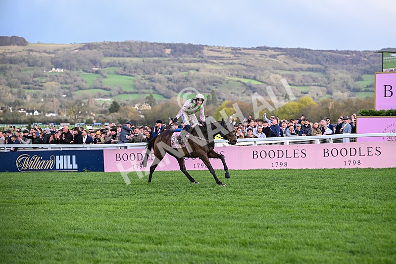 130326-Race 5-Gaelic Warrior-2621 - 13th March