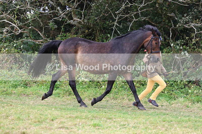 3E7A5288 - Class 18: Veteran in Hand