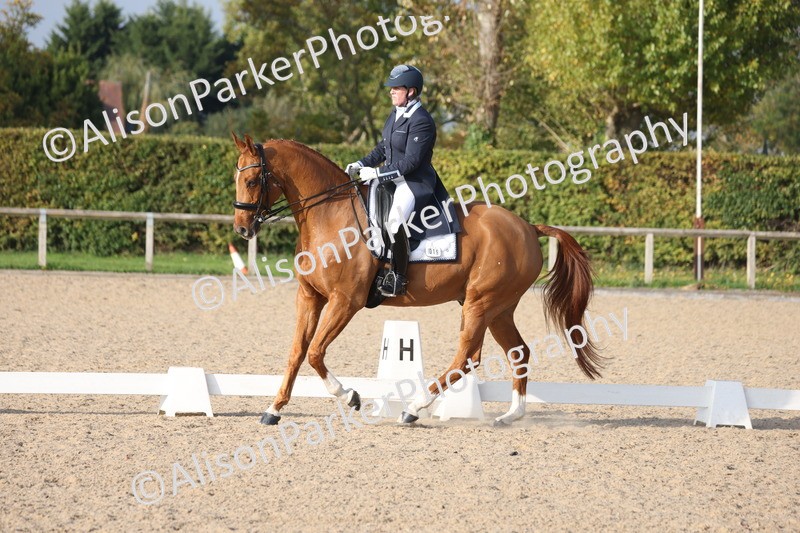 20251012-1125 - Class 12 - PSG