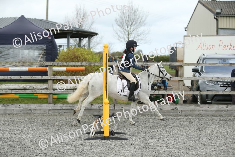 20260412-0693 - Show Jumping