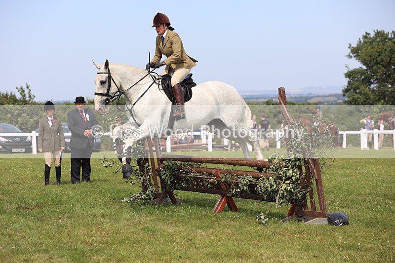 JPP_3665 - Class 23: Working Hunter 80cm