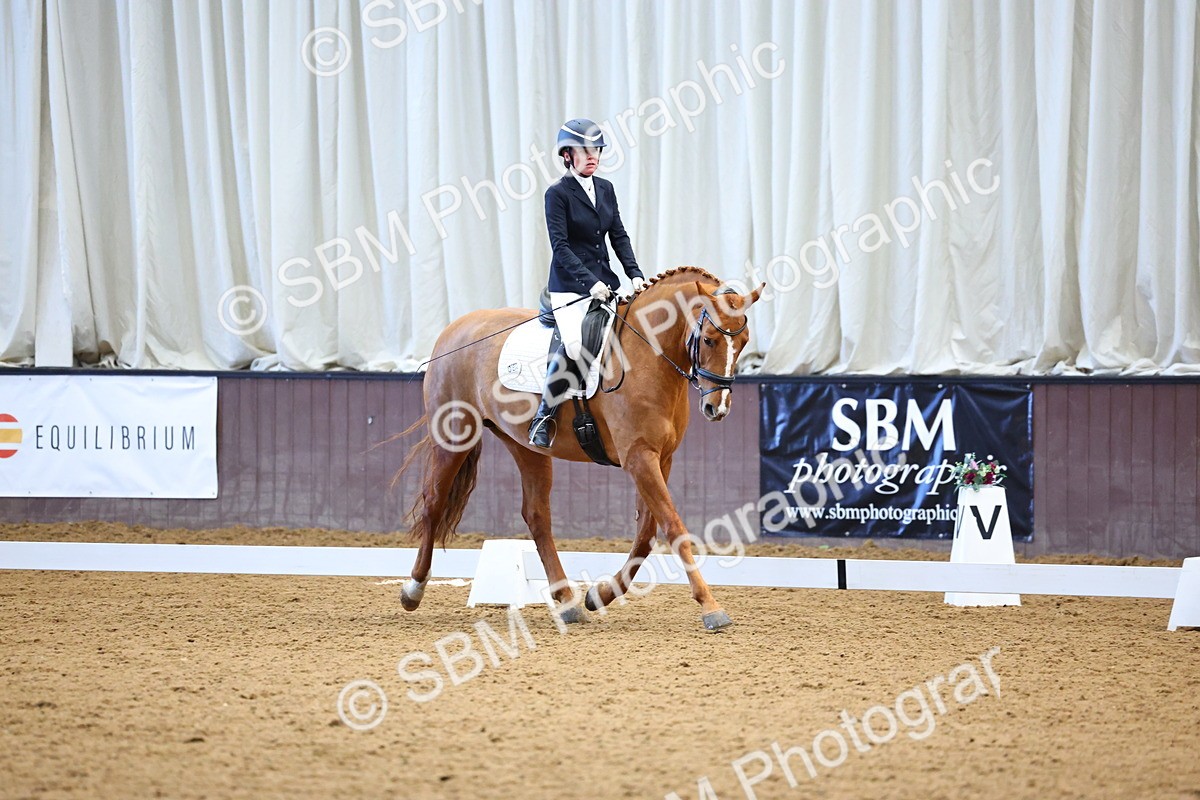 026A1551 - Class 4 - Novice 4