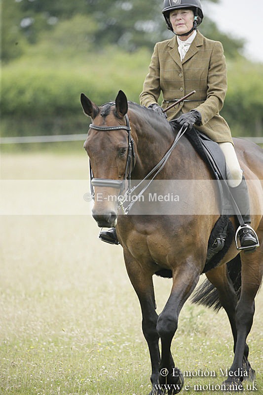 B230619-0797 - Bourne Valley Riding Club Summer Show 23/06/19