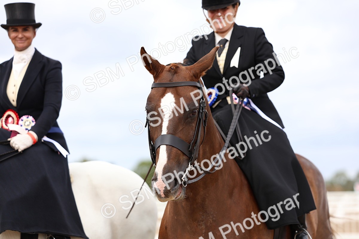 SBM_03486 - Class 24 - SSA Concours d'elegance (any age)
