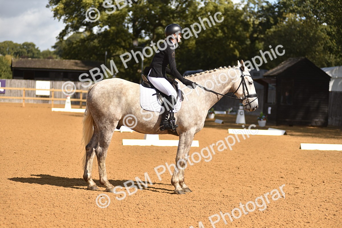 SBM_03094 - D4 - Small Tour Championship Intro 4