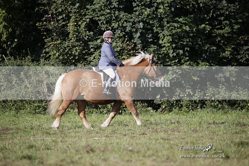 BVRC 120921 83 - Bourne Valley Riding Club UA Dressage & Show Jumping 12/09/21
