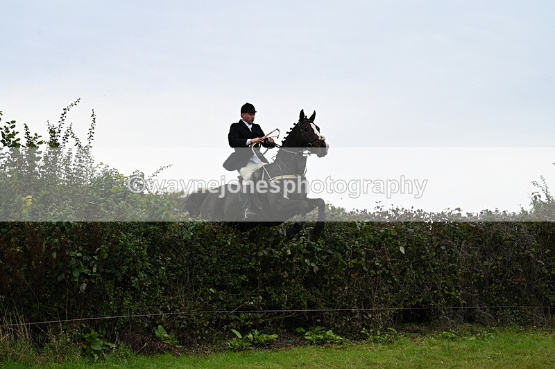 WJ7_4040 - Camera 1 Line 2