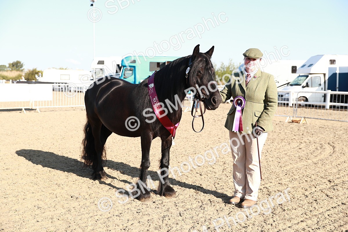 SBM_00154 - Class 40 Best Turned Out IH