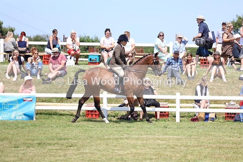 3E7A9286 - Class 12: Open Racehorse to Show Horse