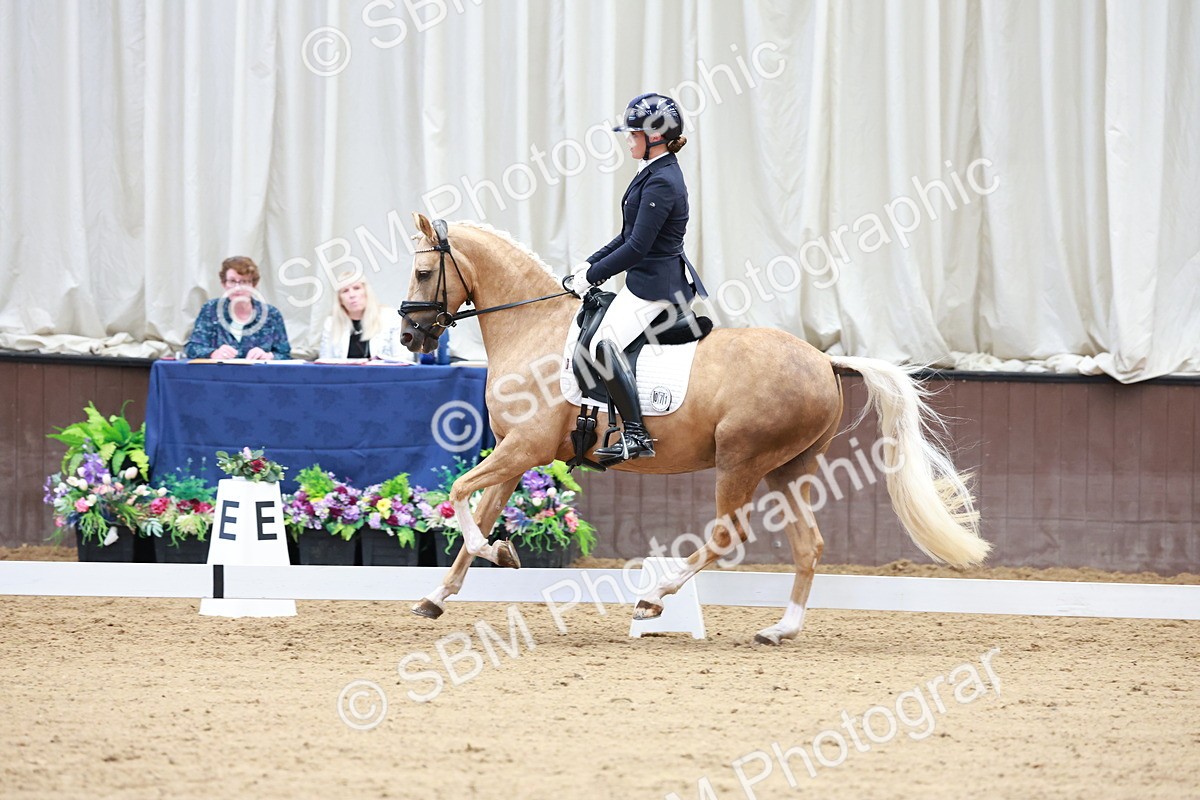 SBM_017327 - Class15 - FEI Pony
