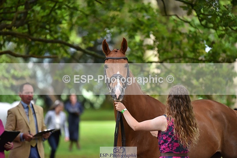 240522-170648-01392 - 236-RUBIN_MOON_SB-Gemma_Watts