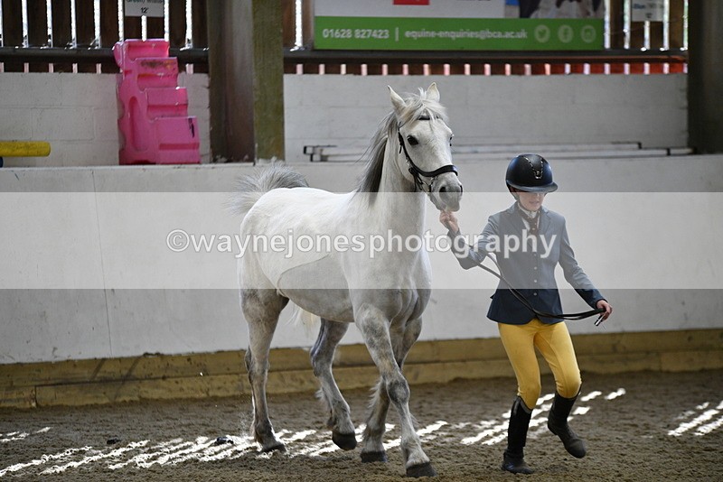 WJ5_4538 - Class 3 Part Bred In hand