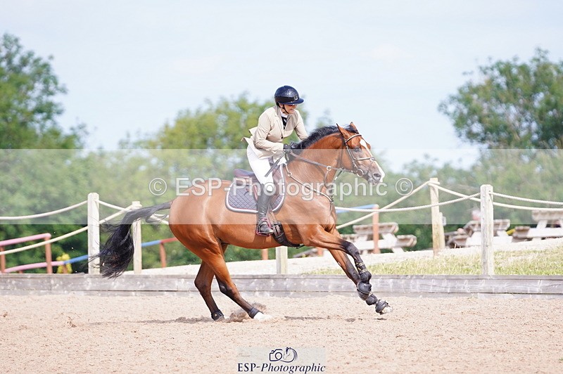 240802A-101134-03530 - Cls 15 Foxhunter