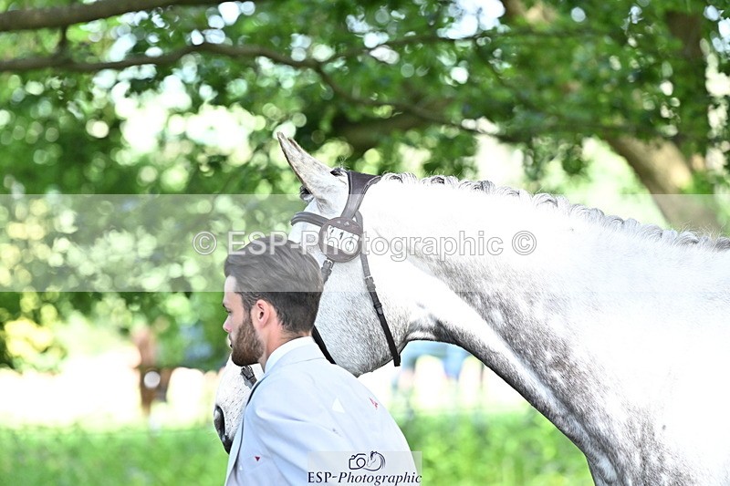 250521A-153317-00584 - B-311-Barnie.Brotherton-WHIXLEY.QUALITAS