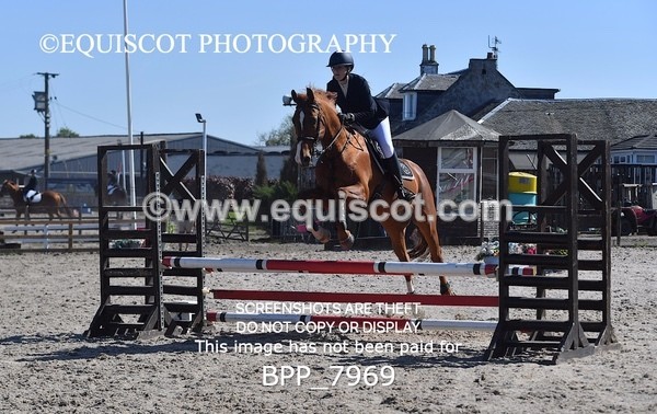 BPP_7969 - CLASS 2 Club/ Unaffiliated 80cms Open