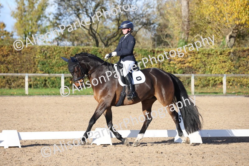 20251102-1231 - Class 7 - Medium 5