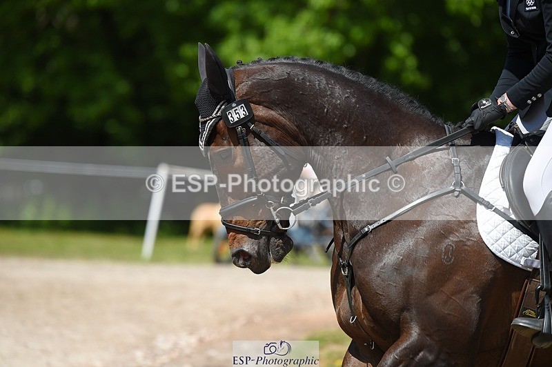 230528-112910-15231 - 353-THE_RIPPER-Bundy_Philpott-SUNTrotUp+SJ