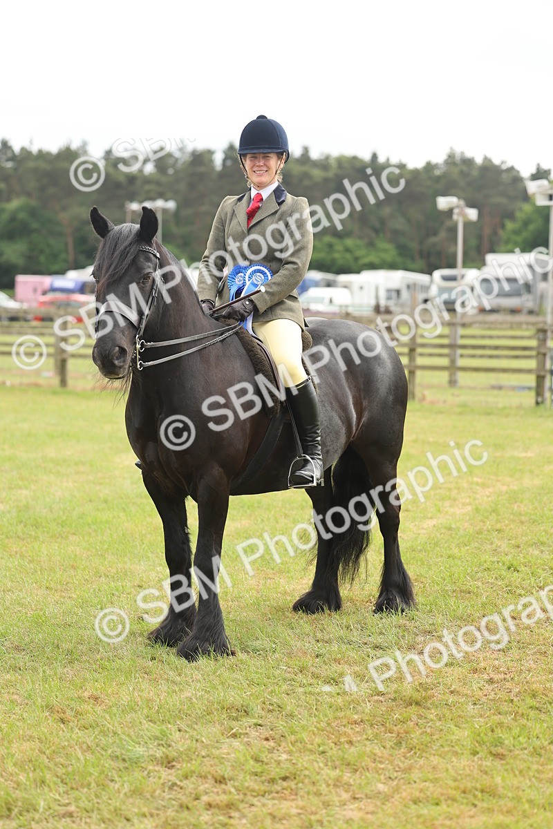 SBM_09157 - Class 78-80 - Ridden M&M Non Welsh Ponies