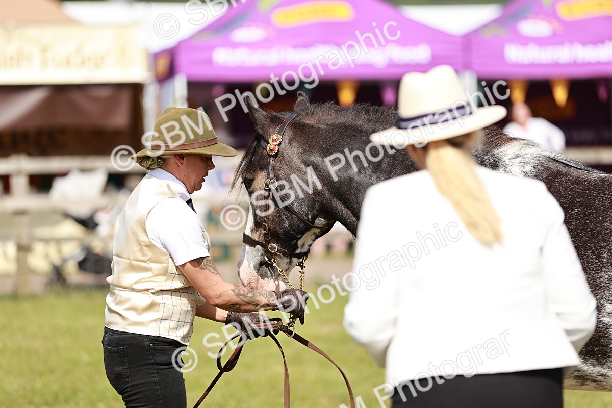 SBM_08793