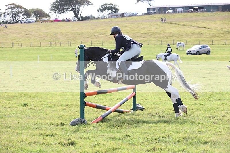 JPP_8608 - Class 2: Trekenning: 80cm Showjumping