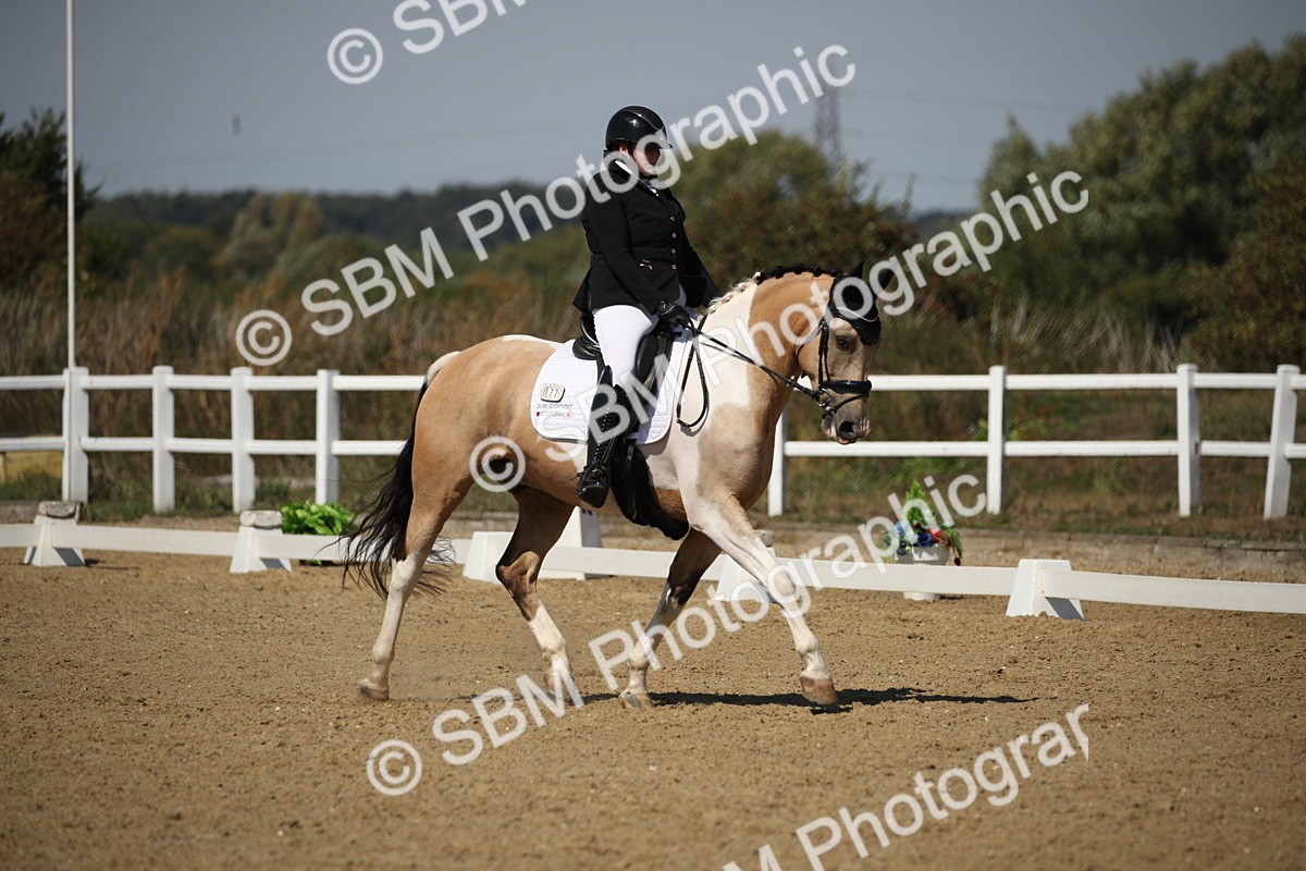 SBM_005079 - Class 11 - Novice 5 - 11.41-12.58
