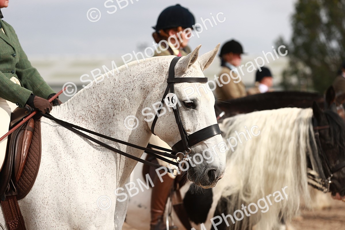 SBM_16739 - Class 214 Ridden Cob