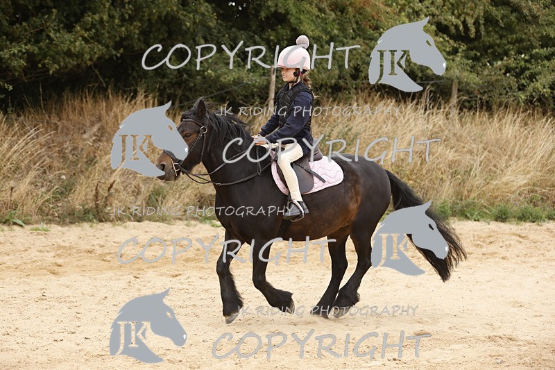 _R6A0988 - Sand arena