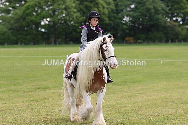 IMG_2455 - Working Hunter