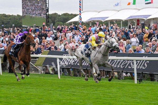 200825-Race 2-Gewan-1296 - Race 2 2.25pm Tattersalls Acomb Stakes