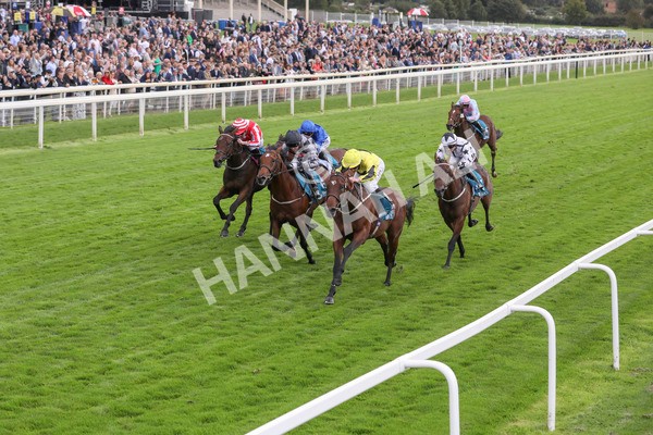 230923-Race 3-Politico-5296 - Race 3 3.10pm Happy 60th Birthday Angela Clark Nursery Handicap