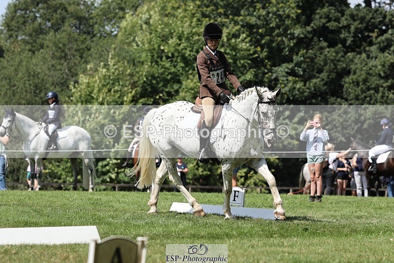 250823A-131843-31280 - Arena D