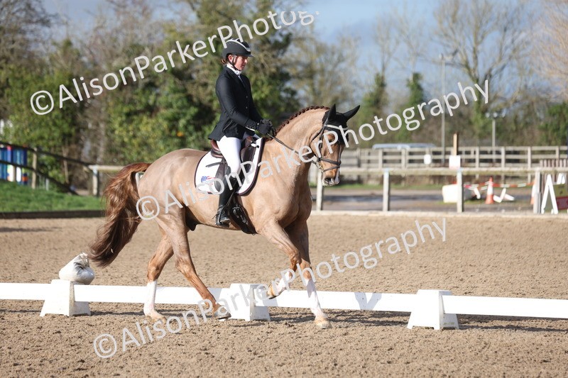 20260128-0475 - Class 4 - Novice 5