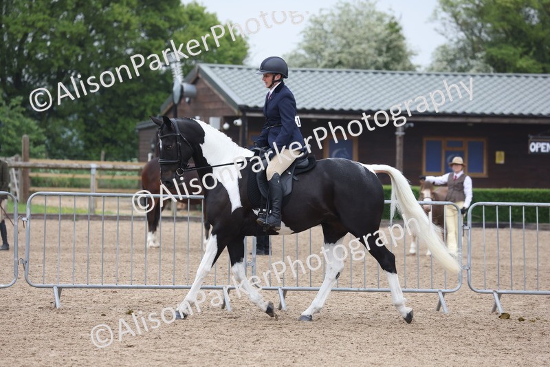 20260504-1037 - Class 14 - Cob and Hunter