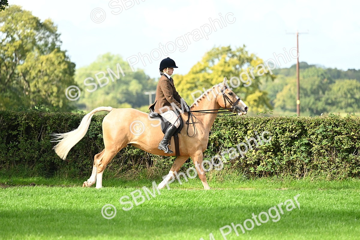 SBM_01724 - S2 - TSR Ridden Horse Showing