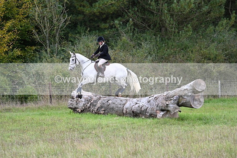 WJ7_3845 - Camera 1 Line 1