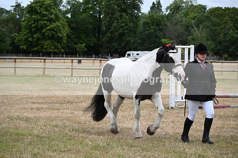 WJ6_4374 - Class 10 Coloured In-hand