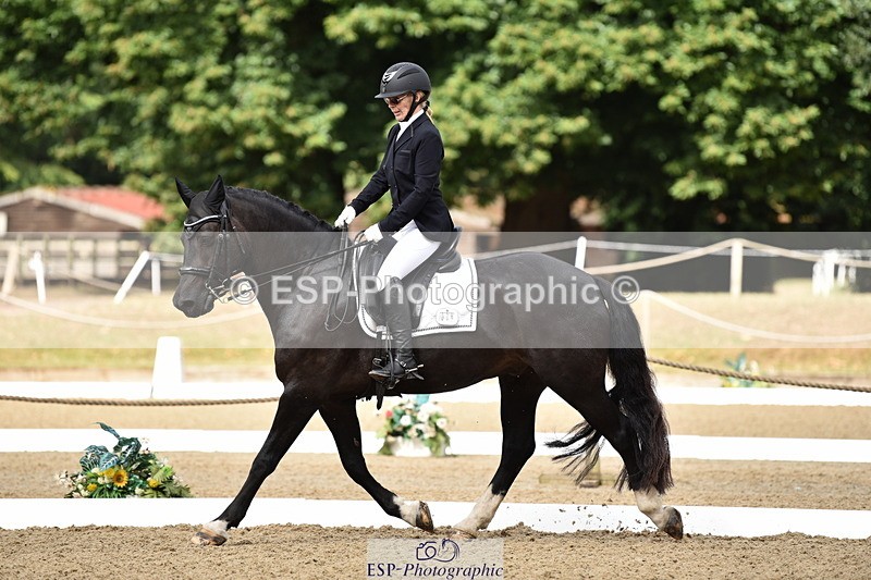 140109A-230650-08384 - 088-Carolyn.Galemully-brook.sylvester