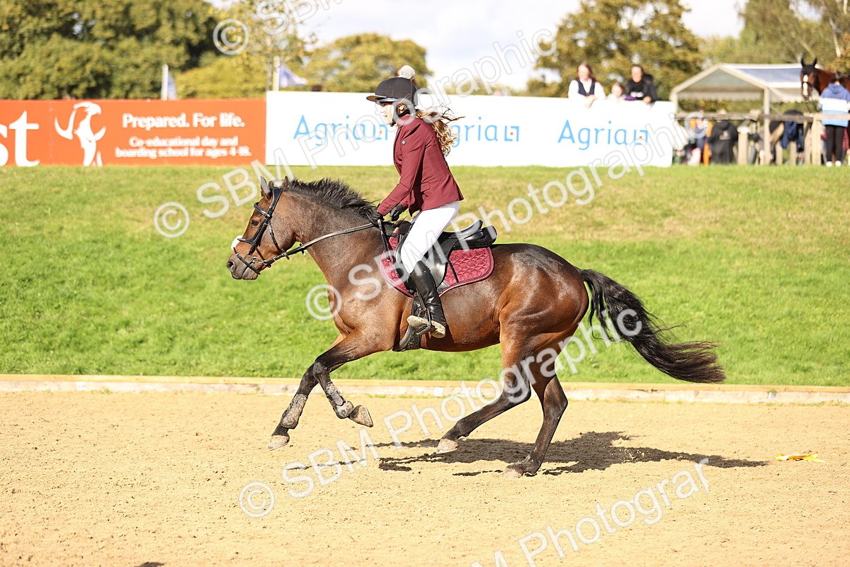 SBM_48312 - J9 - Junior Pony 70cm Championship