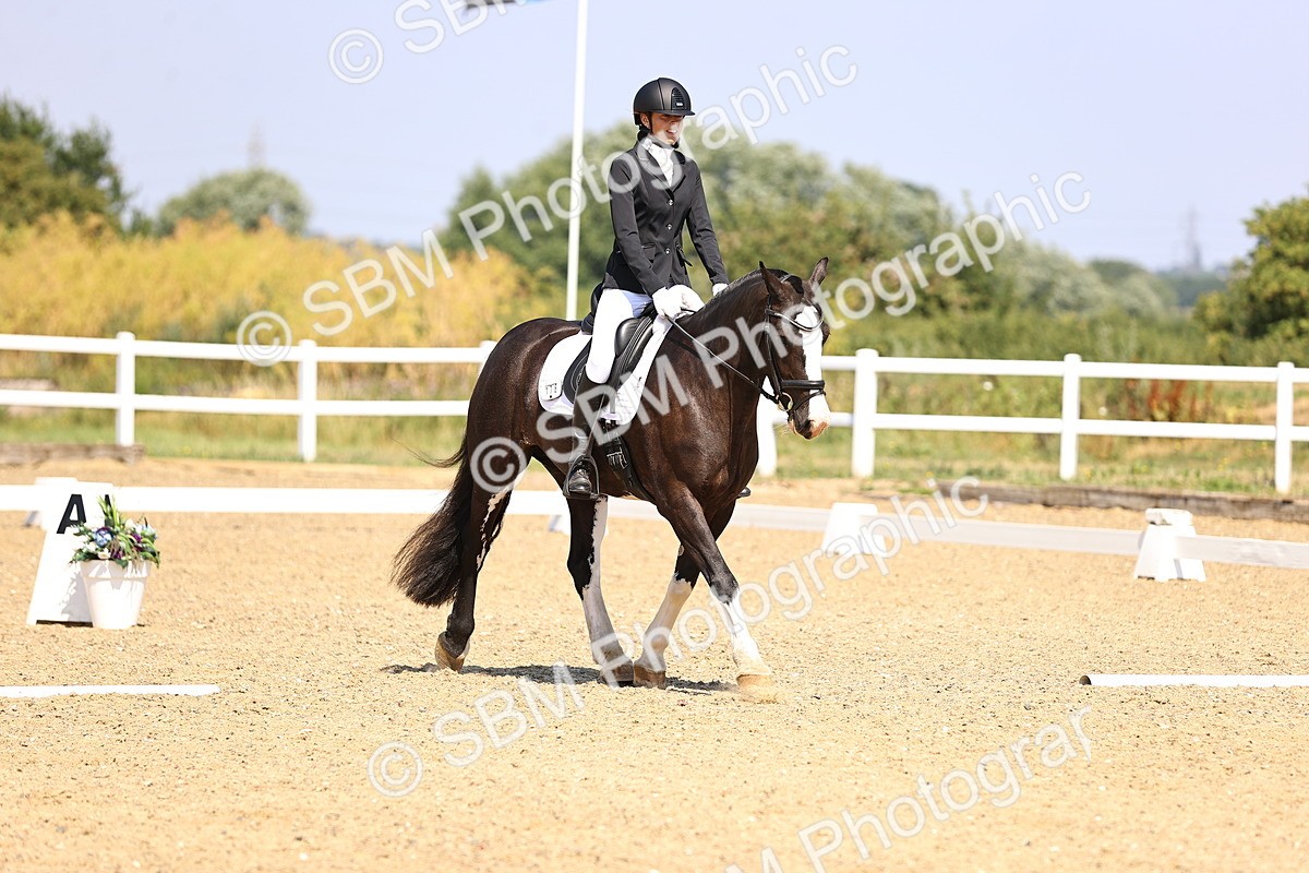 SBM_003629 - Intro 2