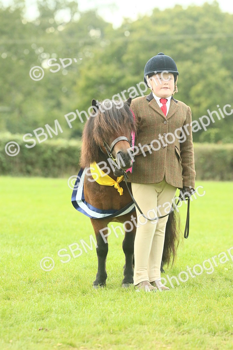 SBM_75269 - Super Supreme Championship