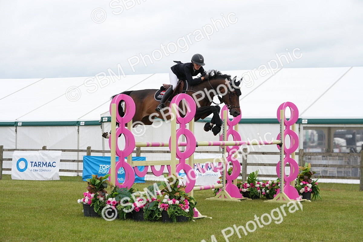SBM_03097 - Class 201 - British Horse Feeds Speedi Beet Horse of the Year Show Grade  C
