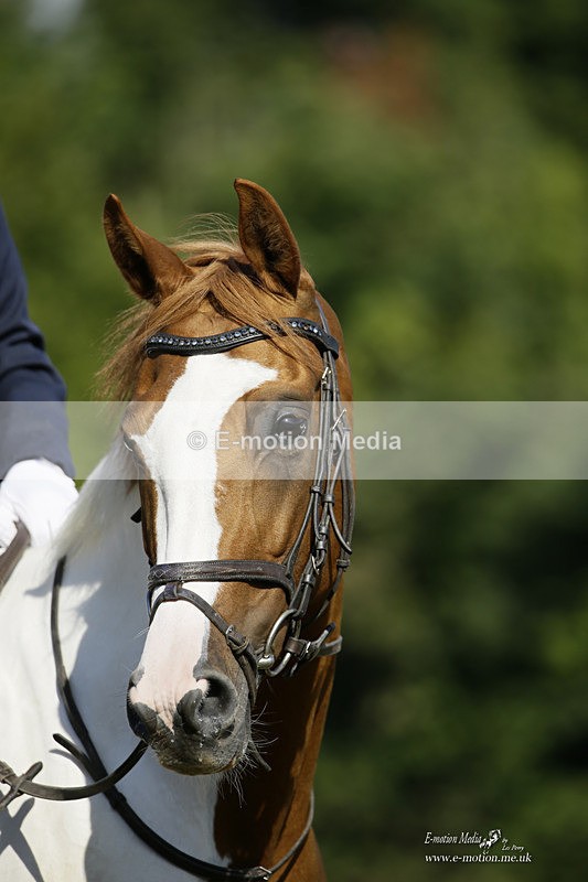BVRC 120921 186 - Bourne Valley Riding Club UA Dressage & Show Jumping 12/09/21