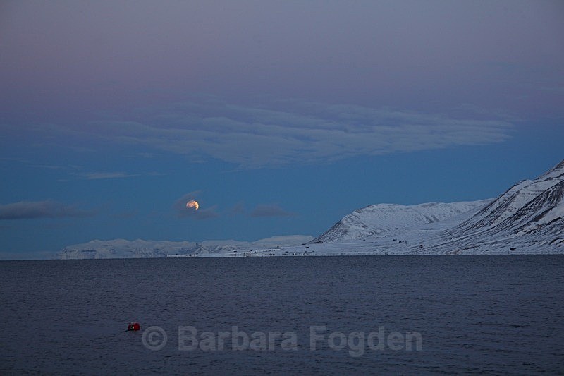 Adventfjord 4946 - Colours of Svalbard