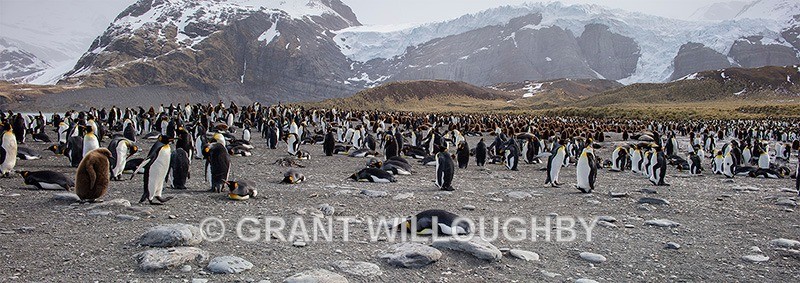  - Antartica