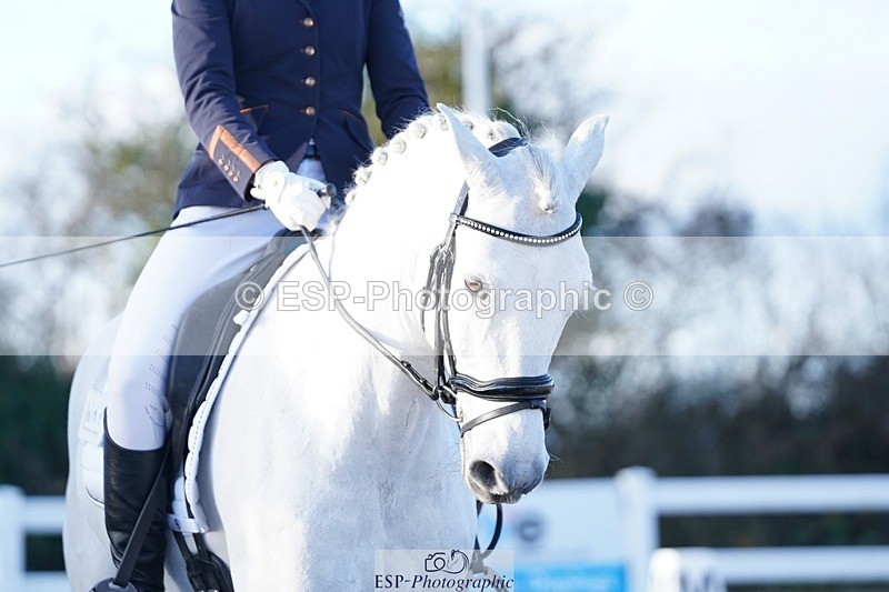 241214-145352-02052 - 111-Anya.Hitt-Cnoc.an.Noinin.Clover