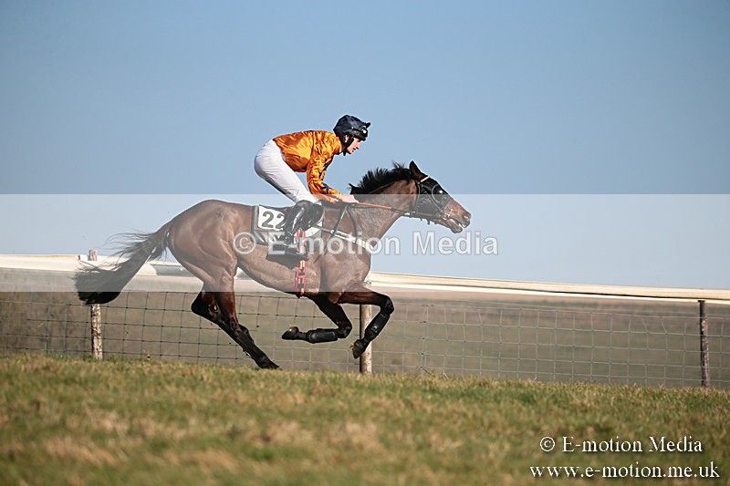 PtP 230219 393 - Vine & Craven Point-To-Point - Barbury 23/02/19
