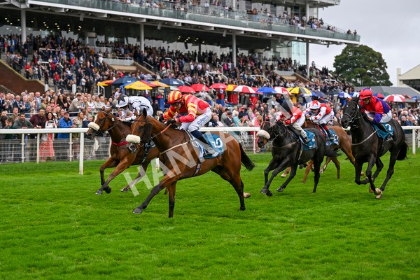 080924-Race 6-Northern Spirit-9480 - Race 6 4.35pm Hanson Springs Handicap