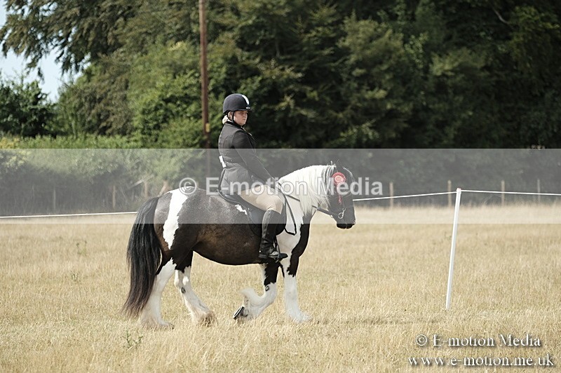 _PJP6100 - Ridden Championship BVRC Show 2018