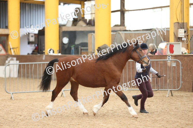 20251109-0905 - Class 26 - 2 and 4 Year Olds