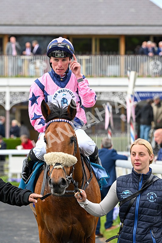 150526-Race 1-Zarathos-7050 - Race 1 1.45pm Yorkshire Equine Practice Handicap